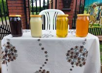 Miód pszczeli różne rodzaje