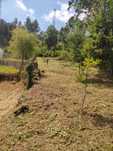 Limpezas de terrenos