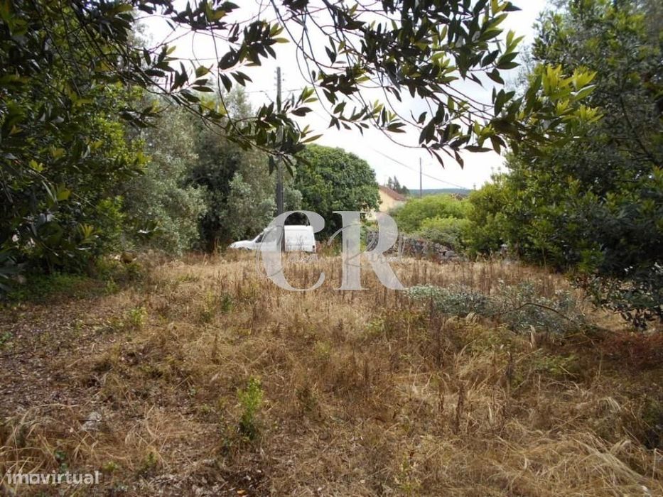 Terreno com capacidade para construção próximo de Santiago da Guarda-A