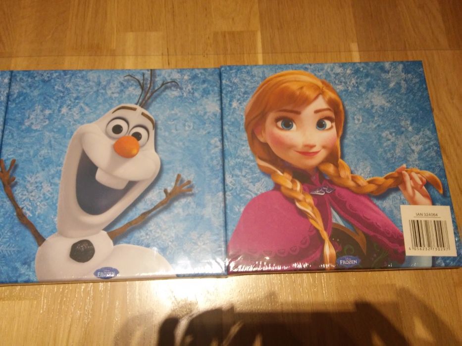 Obrazki na płótnie - Frozen