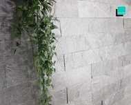 Kamień Elewacyjny-Dekoracyjny Kwarcytowy Silver Grey Brick 10X30 Dom