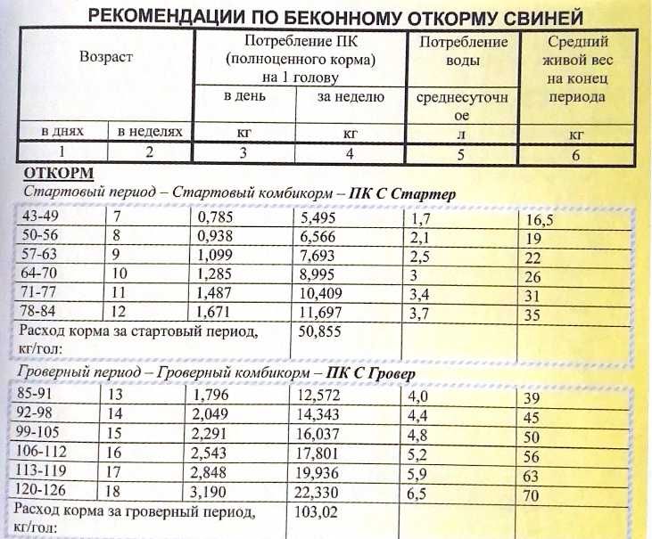 Комбікорм для відгодівлі свиней від12-35 кг Інтего Стартер  40кг