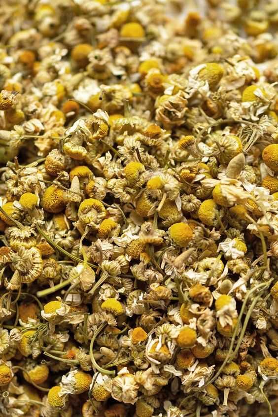 Koszyczek rumianku 100g Herbatka NA TRAWIENIE