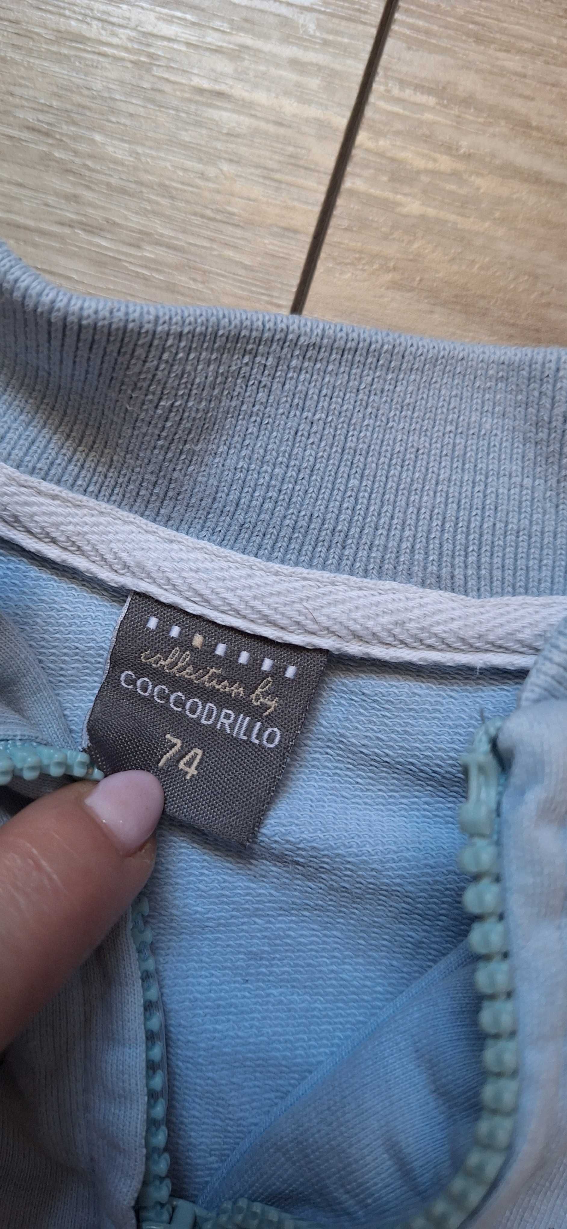 Dresik dla chłopca coccodrillo 74