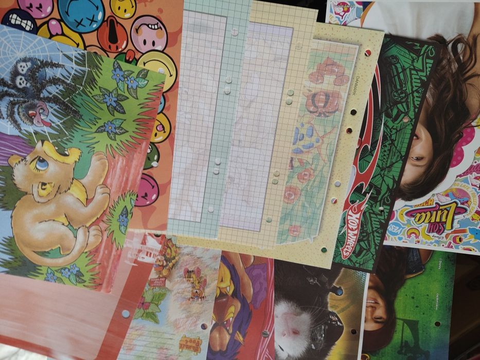 Karteczki do segregatora