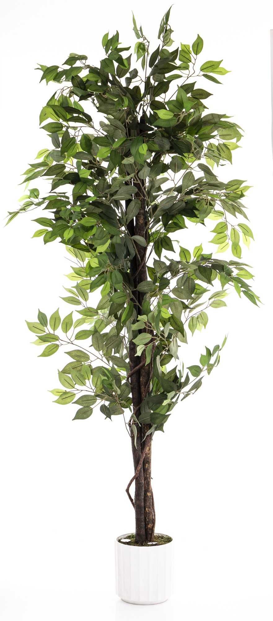 Figowiec benjamina duża roślina drzewko dekoracyjne LED 198cm 176832