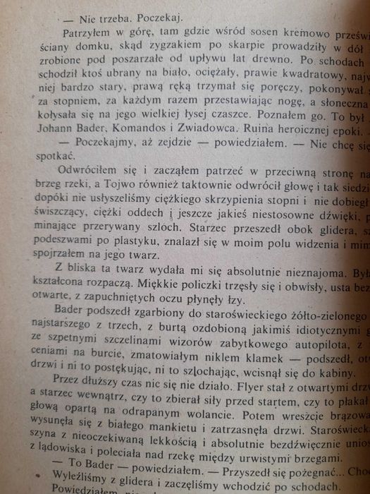 Fale tłumią wiatr Strugacki