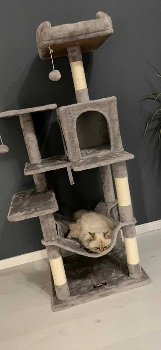 Drapak dla kota Wysoki duży drapak dla kota domek legowisko 143cm NOWY