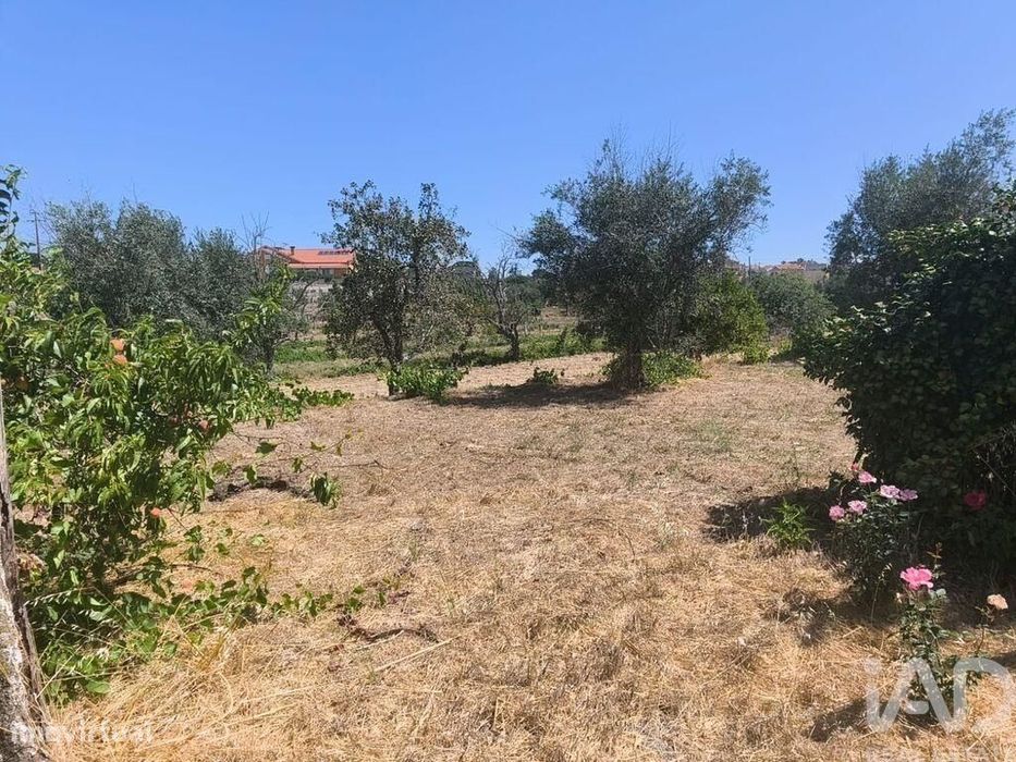 Casa / Villa em Travancinha de 157,00 m2