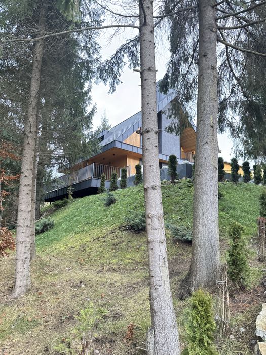 Скогур skogur Віп котедж преміум класу в районі Буковелю