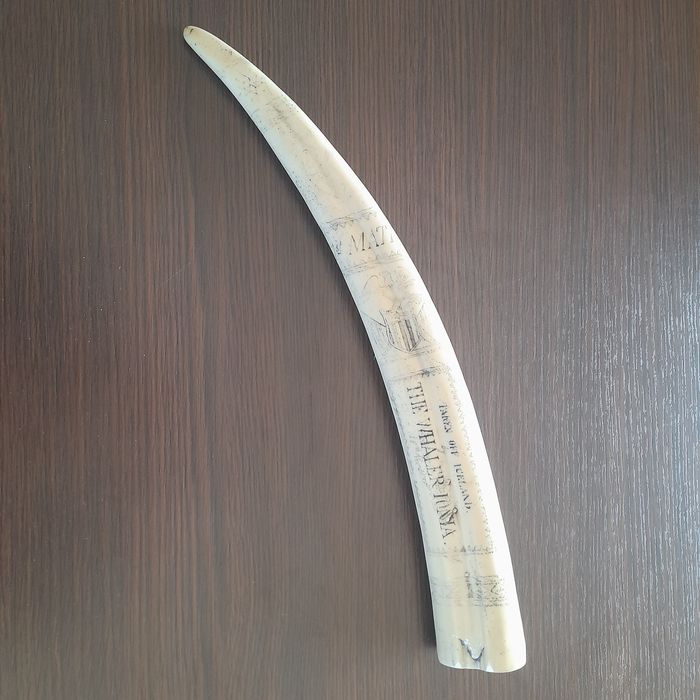 Presa Marfinite (com inscrições)