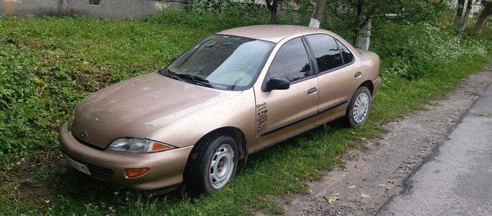 Продам амереканця.