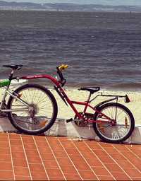 Trail buddy / reboque bicicleta