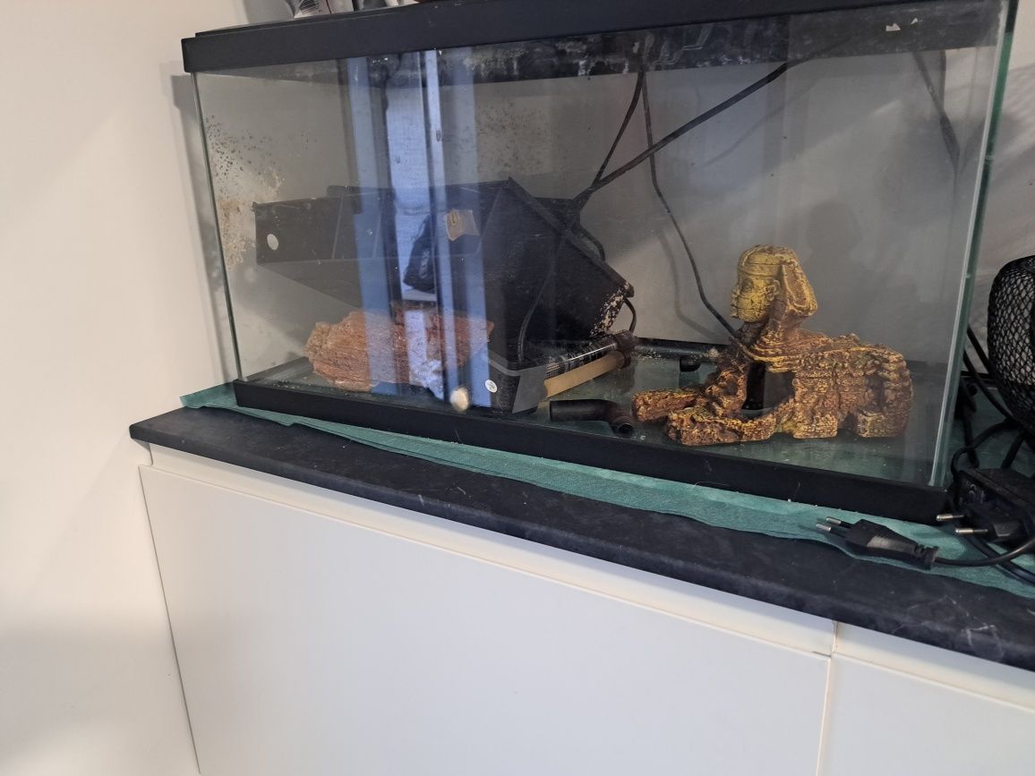 Aquário 40 Lt com todos os acessórios