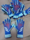 Рукавички воротарські adidas PRED GL PRO