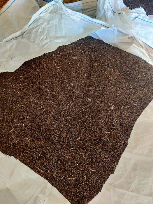 Gryka zbiór 2025 hreczka wysylka poplon Big Bag