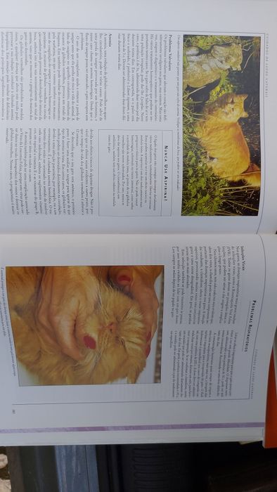 O Livro Gigante do Gato