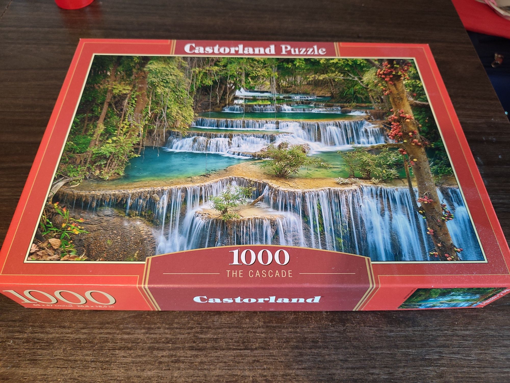 Puzzle 1000 Castorland