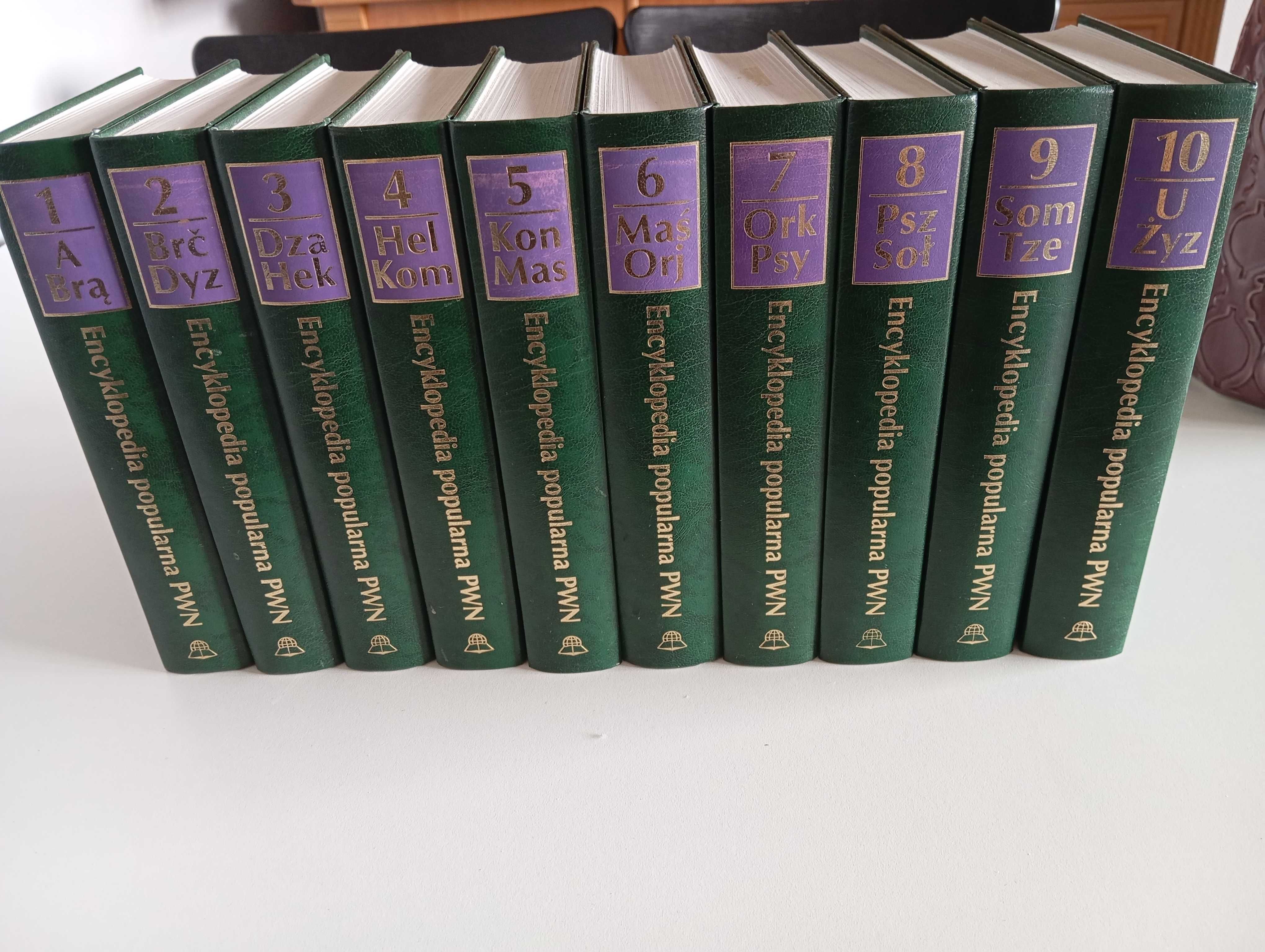 Encyklopedia Popularna PWN – komplet 10 tomów (1997)