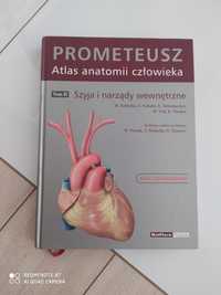 Atlas anatomii człowieka Prometeusz tom II