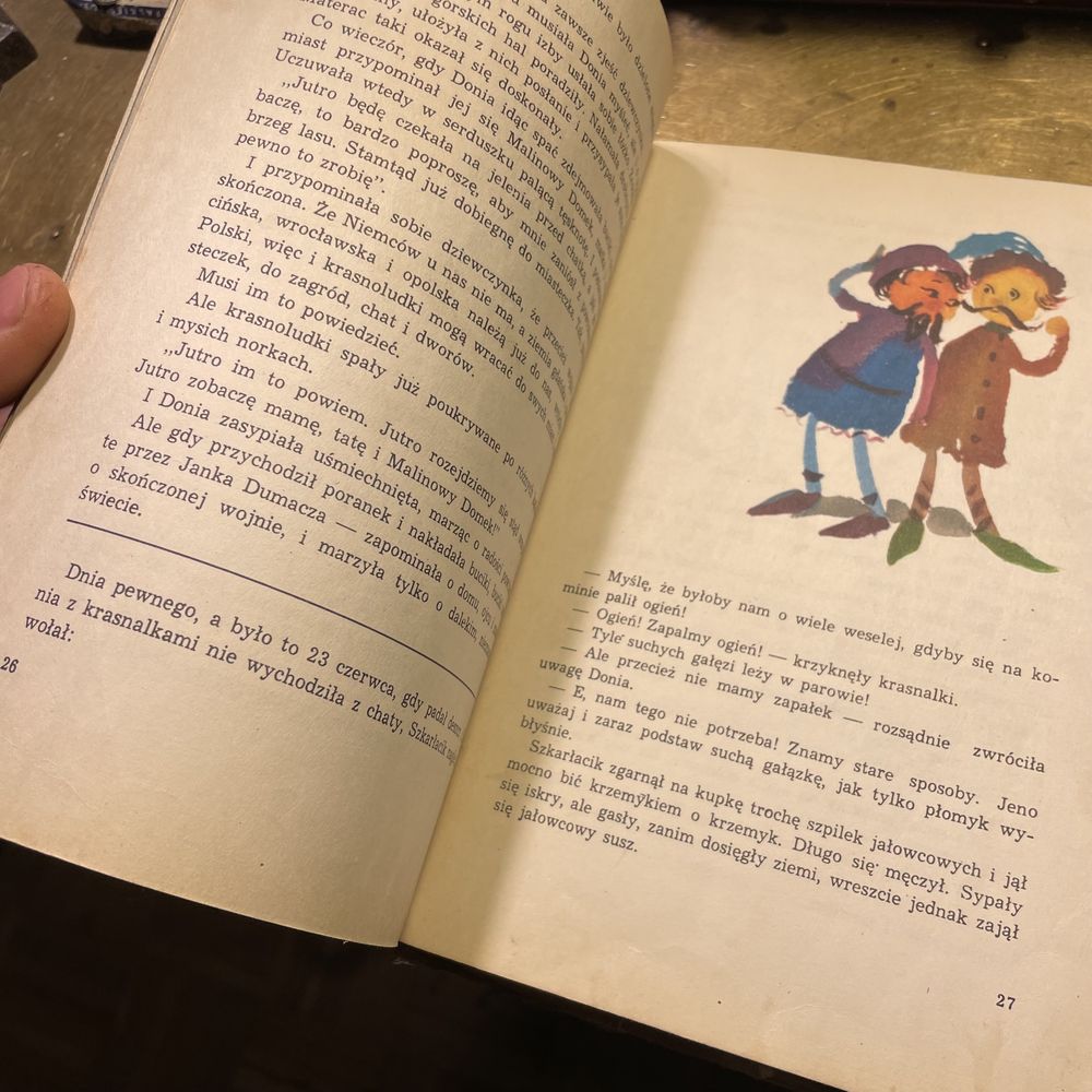 Janina porazińska Tajemnicze Butki 1961 stara bajka prl