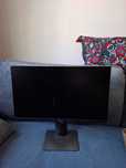 Monitor Dell P2319H