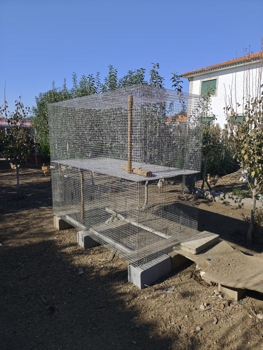 Gaiolas para Aves de medio e grande porte