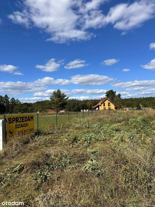 Działka Budowlana w Kursku pod lasem.