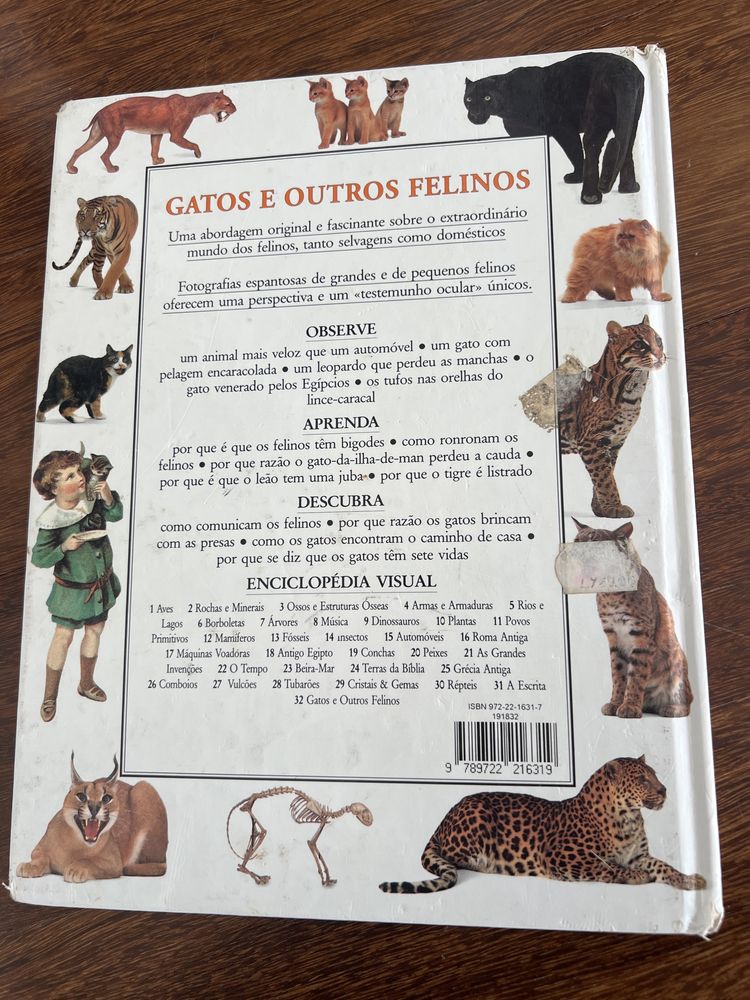 Enciclopedia Visual Verbo 32