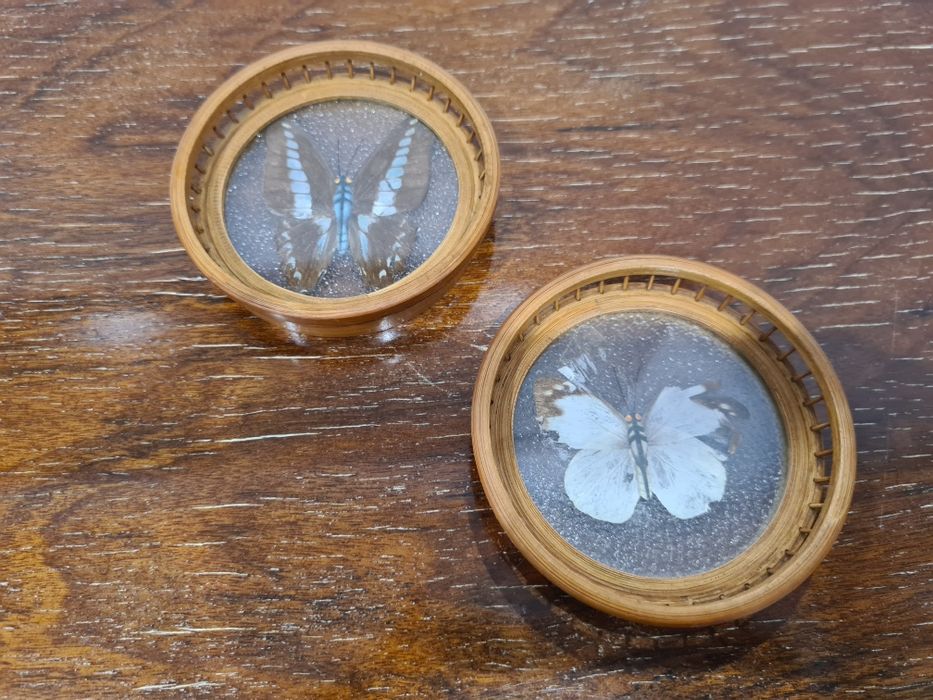 Bases copo vintage