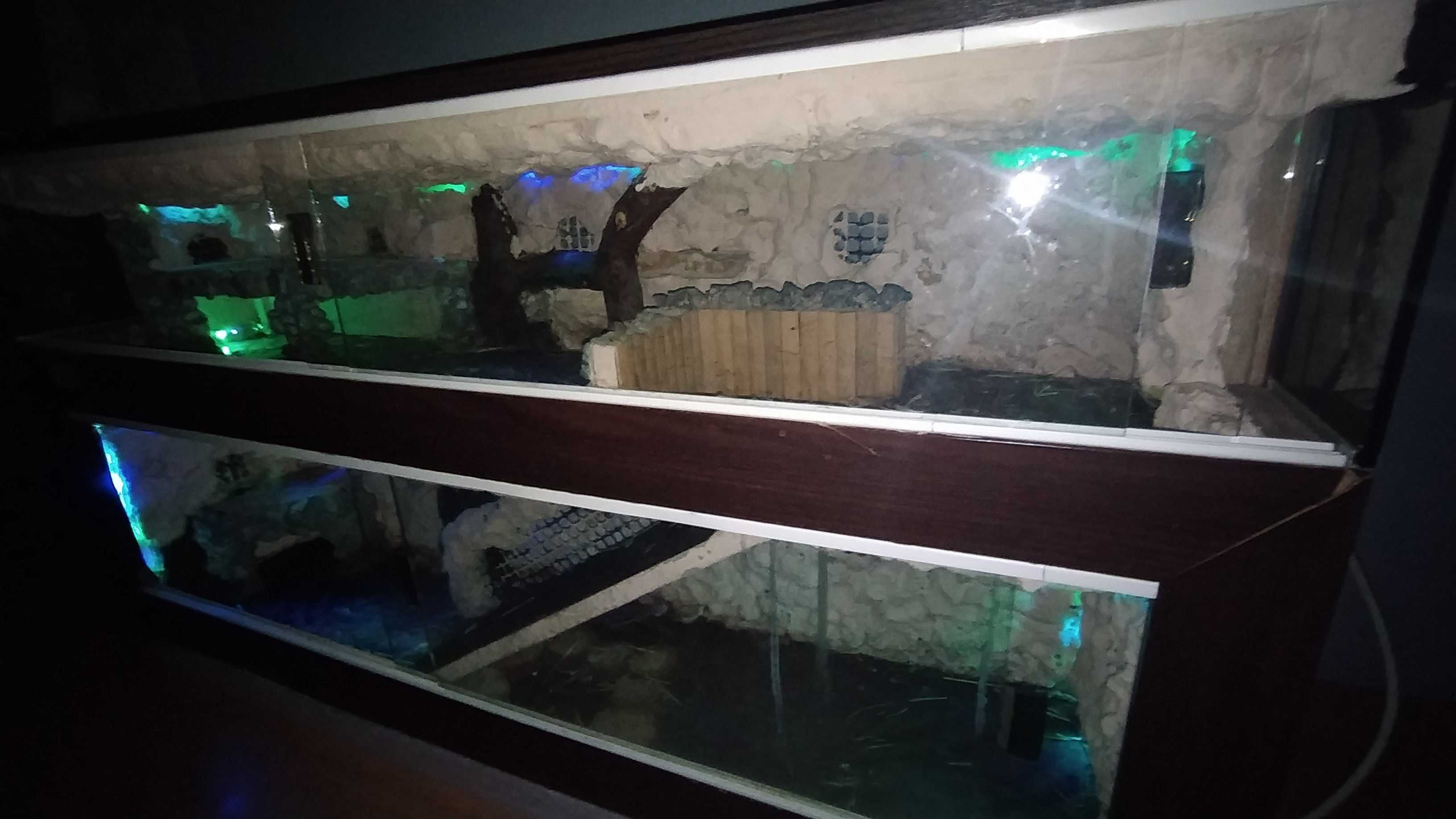 Terrarium dwupoziomowe-Nowa Cena
