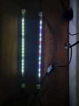 Aquael led tube sunny/plant 42cm