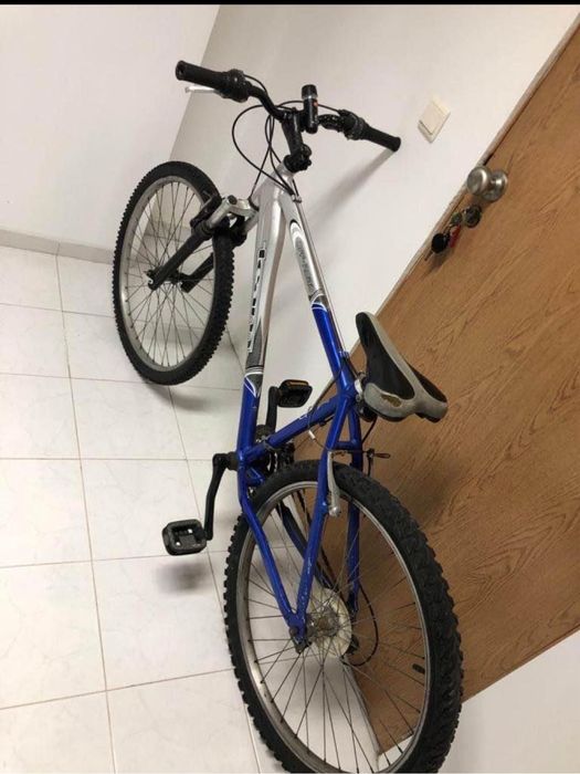 Bicicleta adulto
