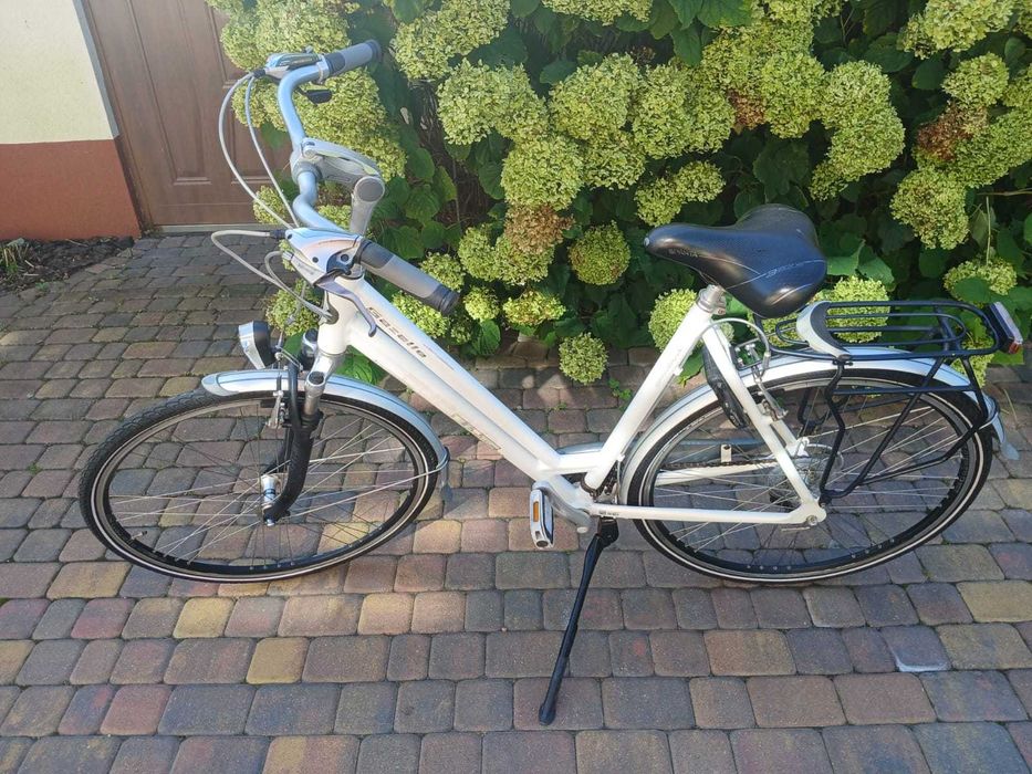 Gazelle fuente z Holandii