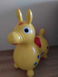 Skoczek konik Rody