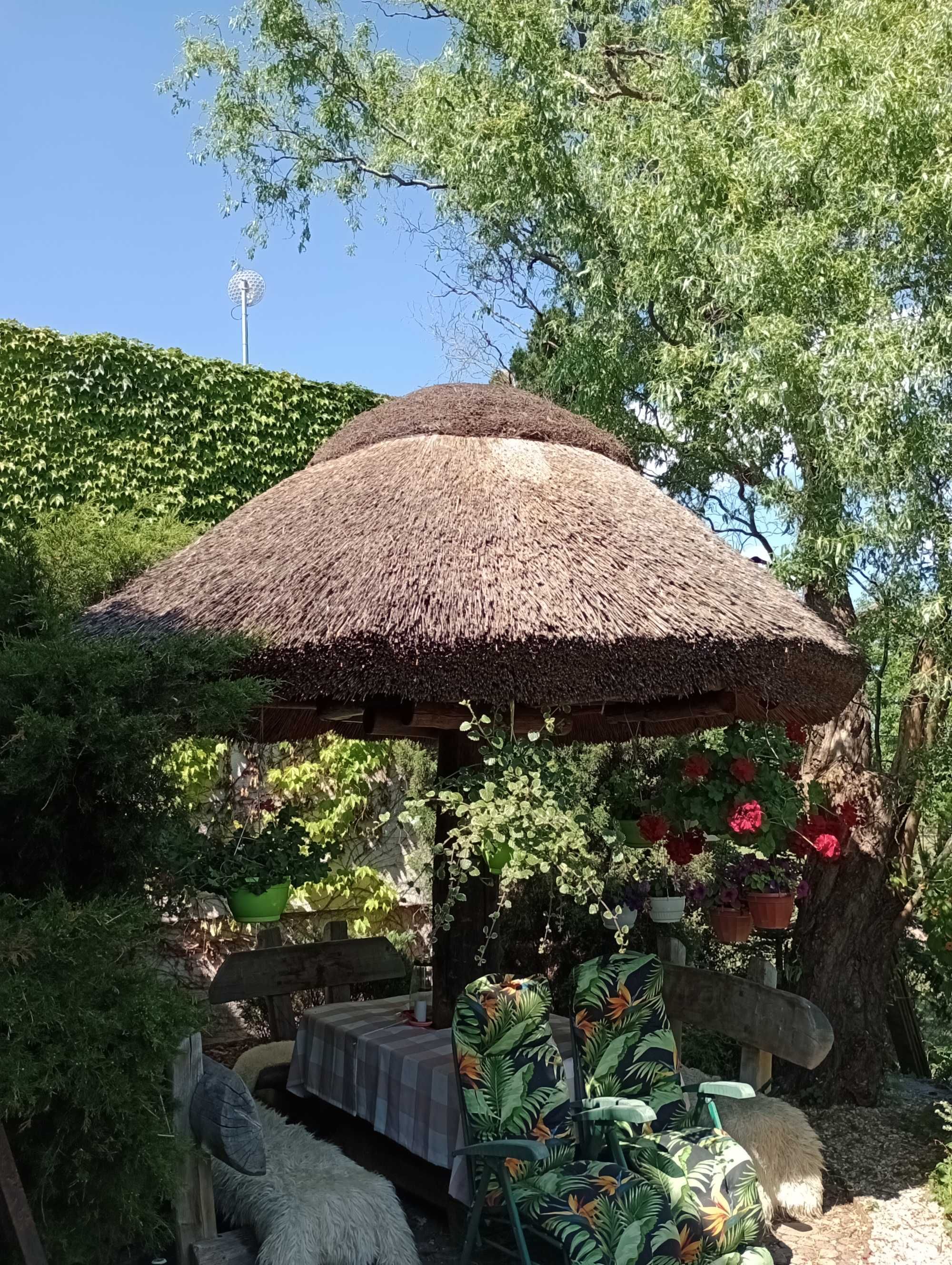 Dach trzcinowy remont renowacja uzupełnienie.