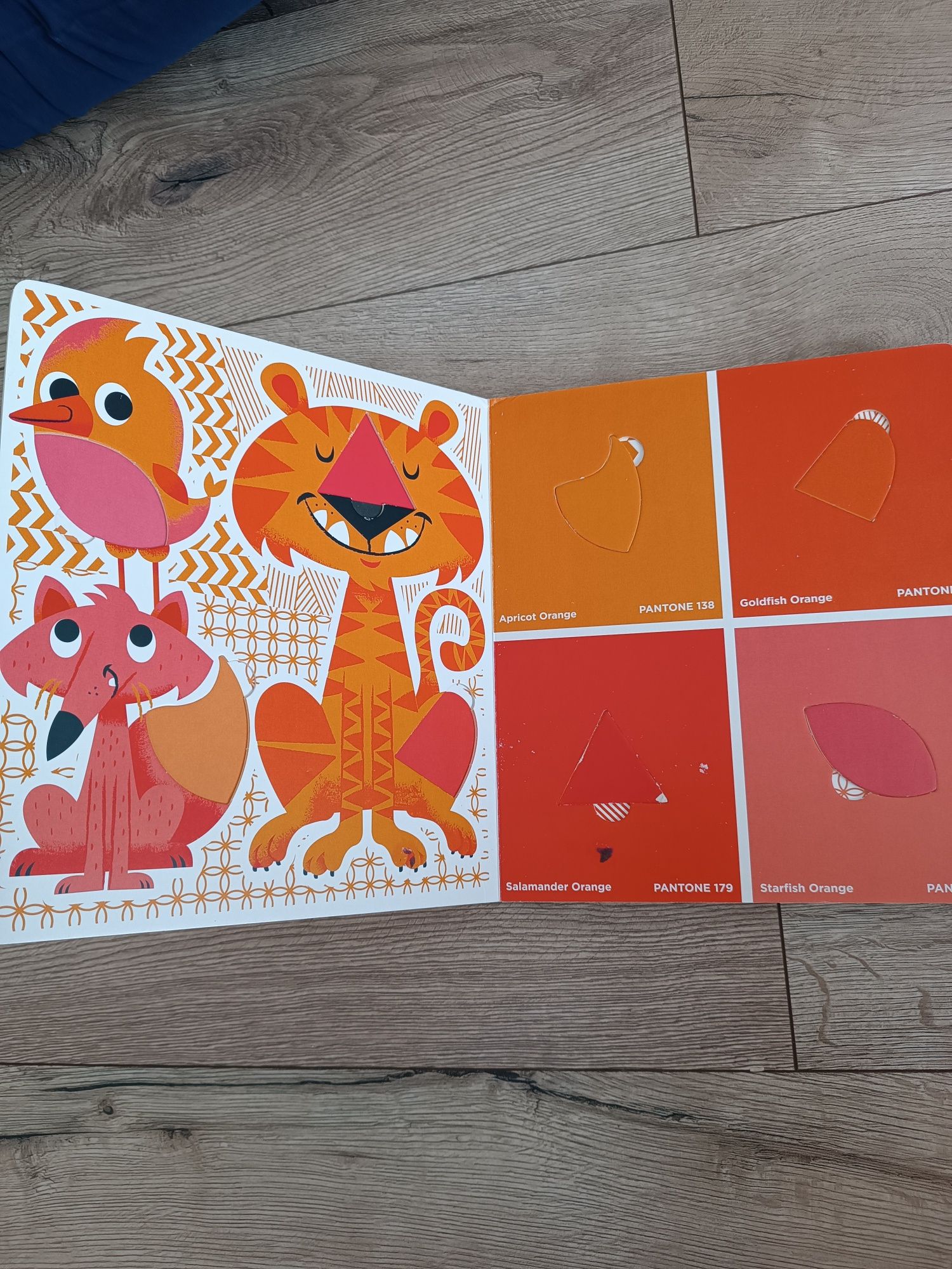Pantone color puzzles książka