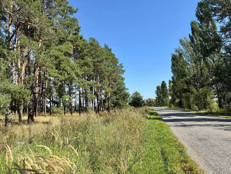 Продаж землі з власним озером під забудову! Прямий вихід в Ліс!