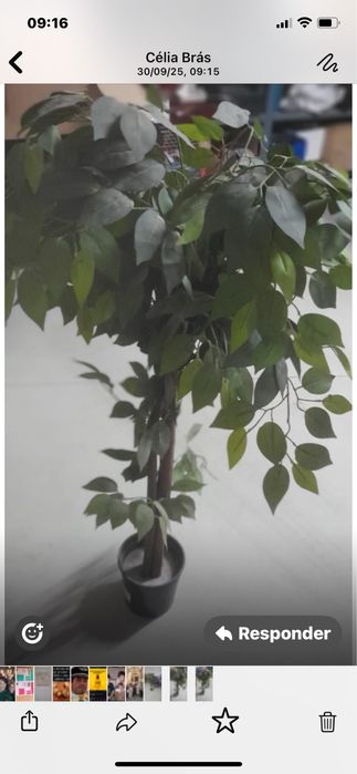 Planta Attificial de decoracão