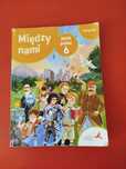 Między nami 6, język polski, podręcznik, Agnieszka Łuczak Anna Murdzek