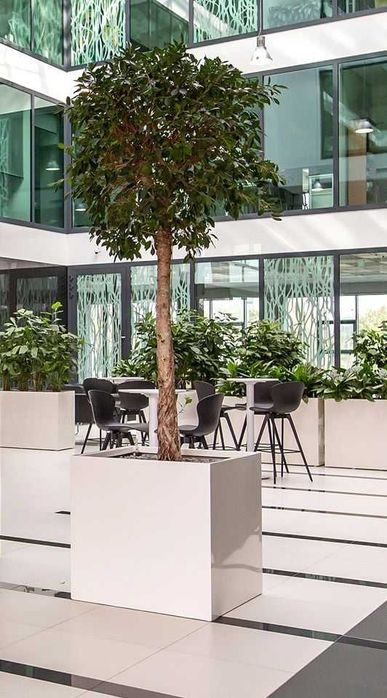 Donice z włókna szklanego. Każdy kolor lub Imitacja betonu