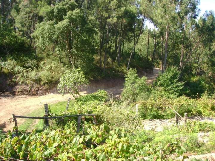 Propriedade 6000 M2, em S. Julião e Silva, Valença do Minho (9kms)