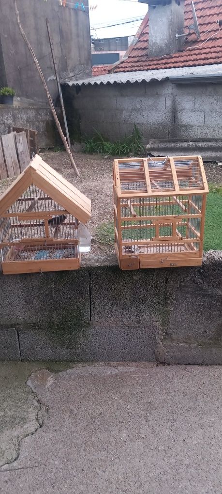 Gaiolas como novas