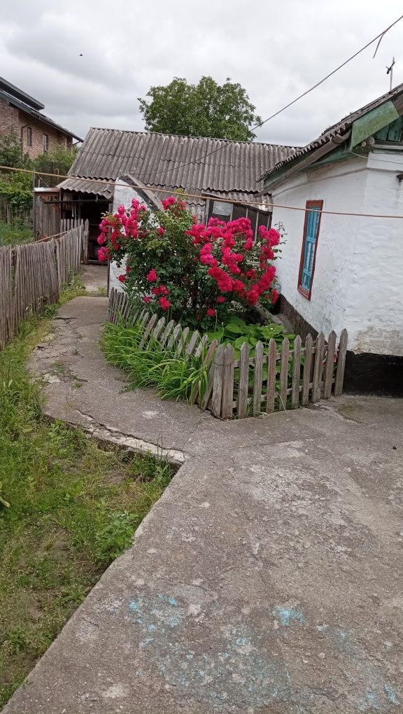 Продам  1/2 будинку.(Вулиця М. Грушевського. Стара назва Чекістів)