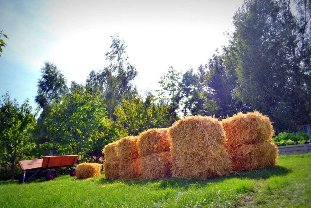 Słoma w kostkach 2023!! (Snopek) Tegoroczne Wysyłka, Możliwy Transport