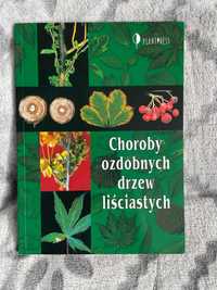 Choroby ozdobnych drzew liściastych