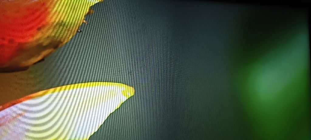 Telewizor LED 65 cali Android 4K Okazja
