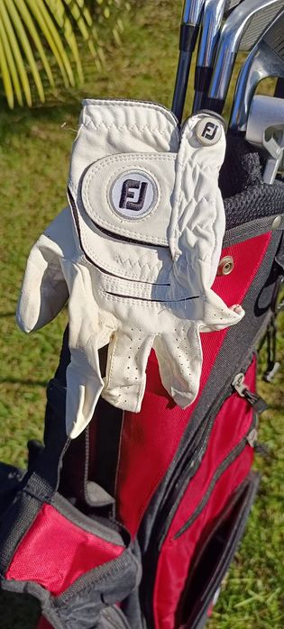 Conjunto tacos de Golfe