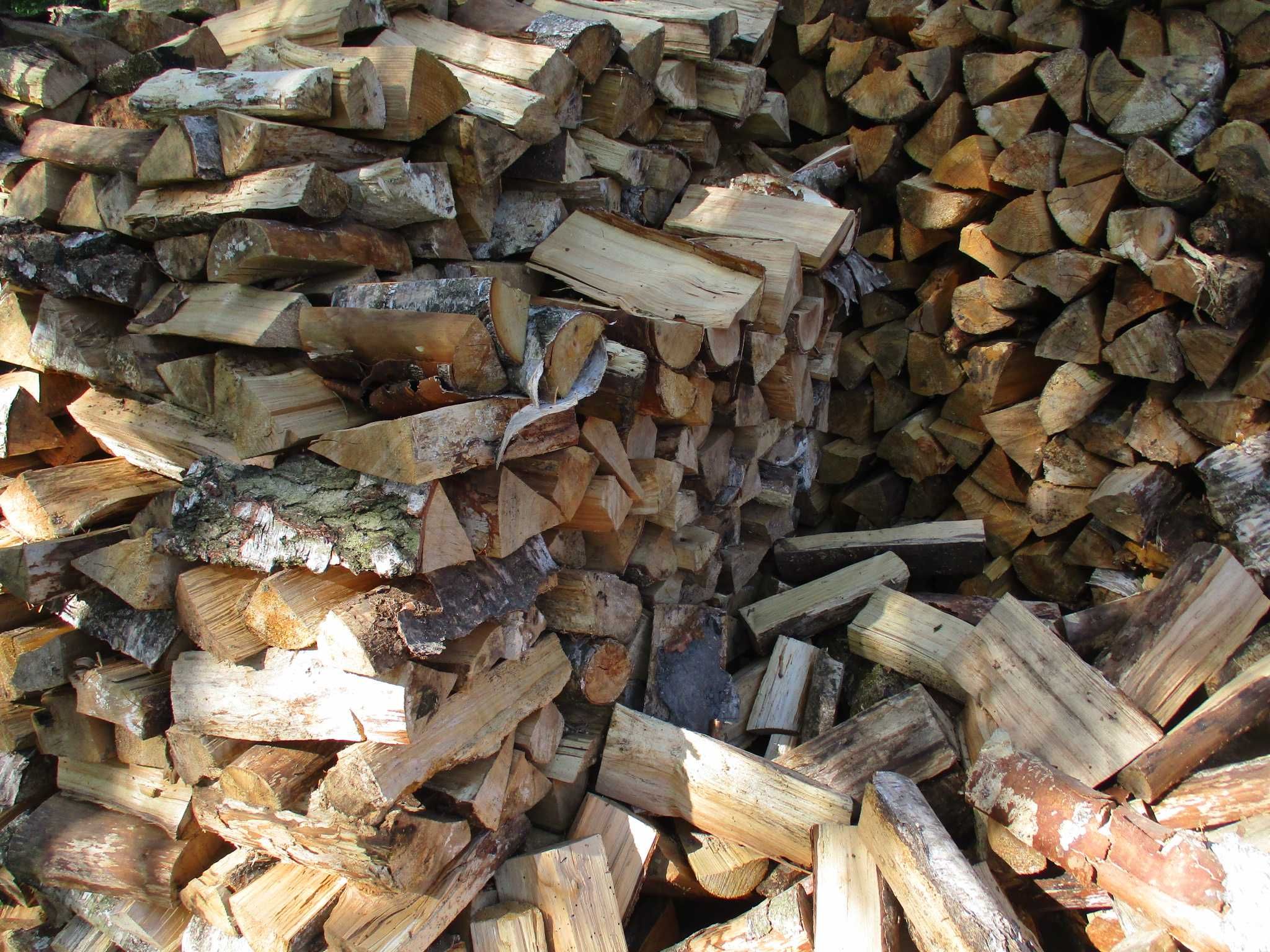 Opał Brzoza sosna dąb kominek Warto okazja do pieca drewno drzewO