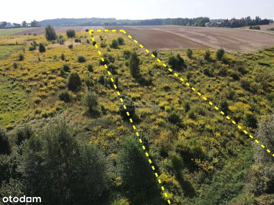 Działka koło Skały, trasa Kraków
